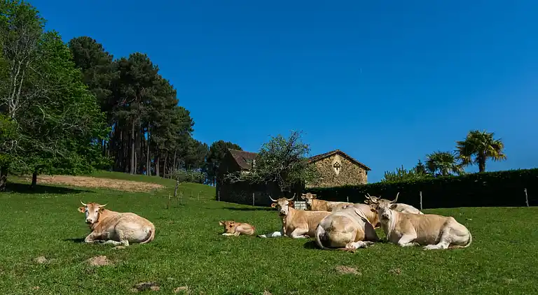 Casa de vacaciones en Loubejac