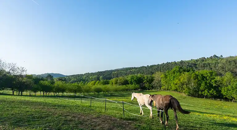 Holiday home in Loubejac