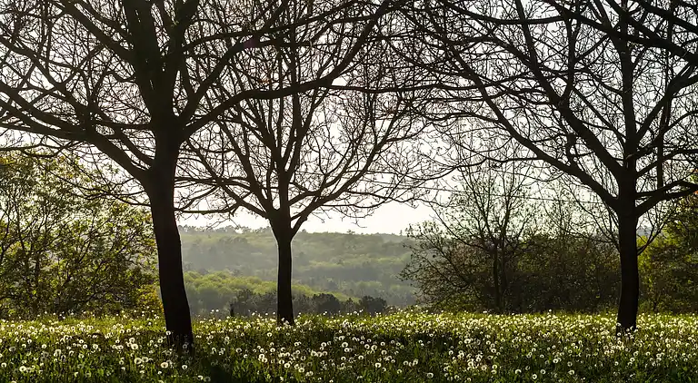 Holiday home in Loubejac