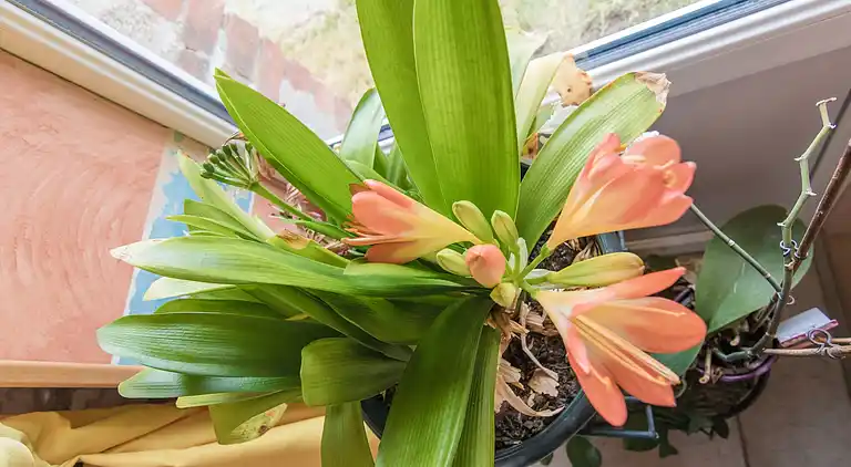 Sommerhus i Bénévent-l'Abbaye