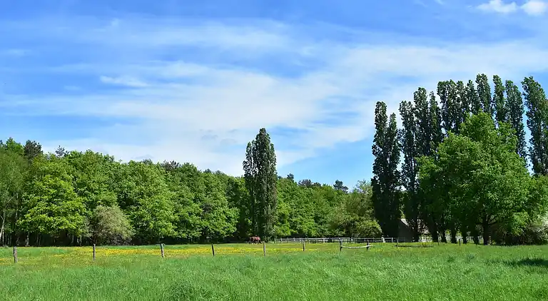 Holiday home in Combreux