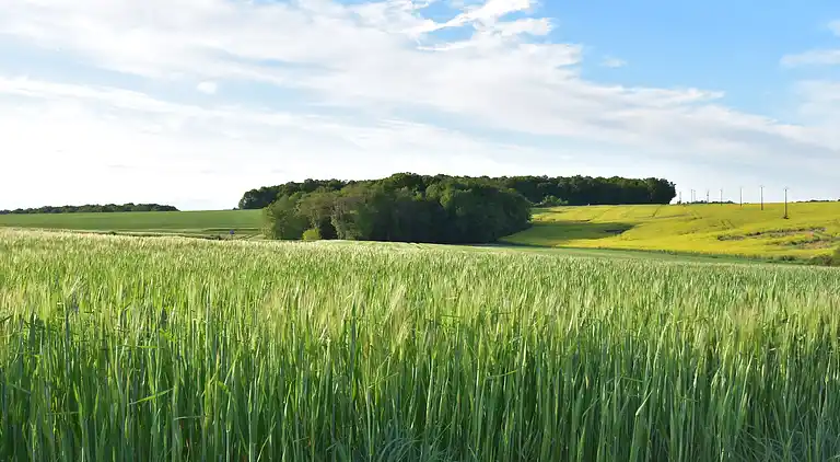 Holiday home in Adon