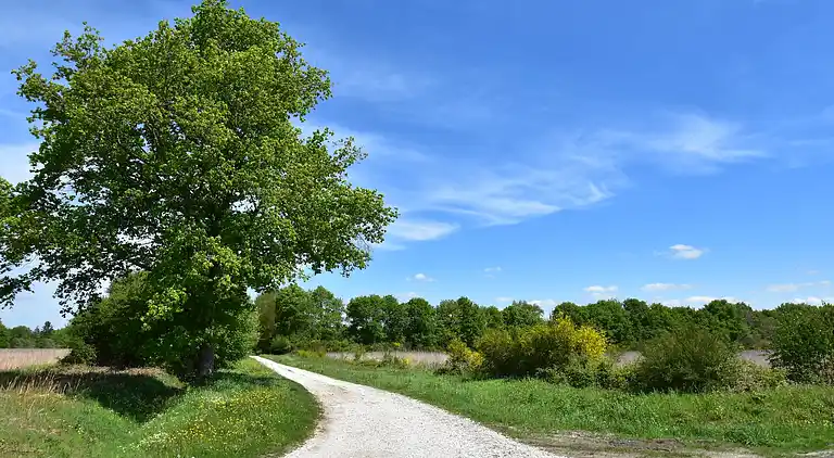 Holiday home in Combreux