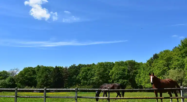 Holiday home in Combreux