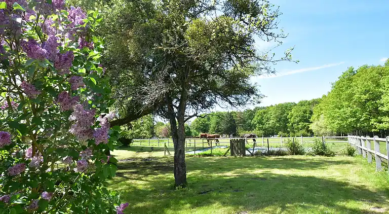 Holiday home in Combreux