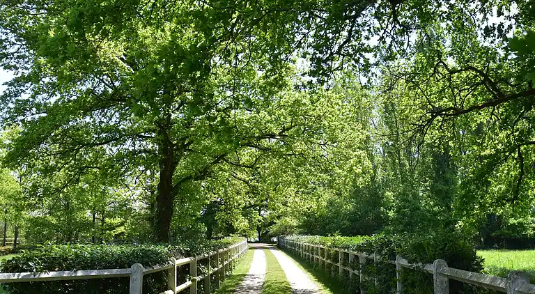 Holiday home in Combreux