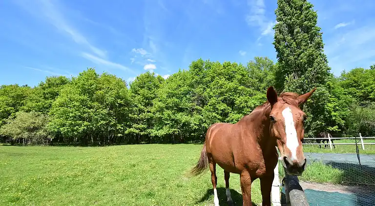 Holiday home in Combreux