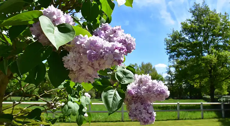 Holiday home in Combreux