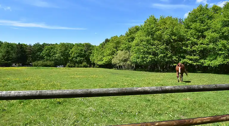 Holiday home in Combreux