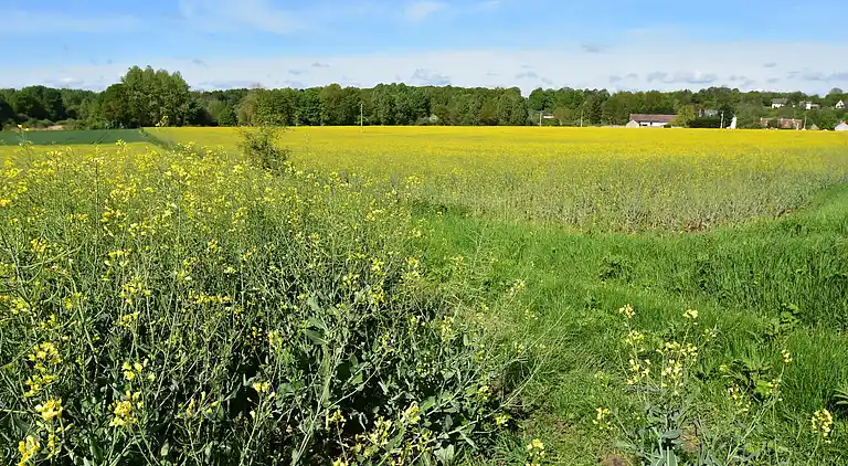 Casa de vacaciones en Fossé