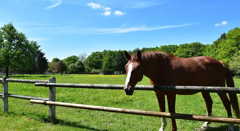 Holiday home in Combreux