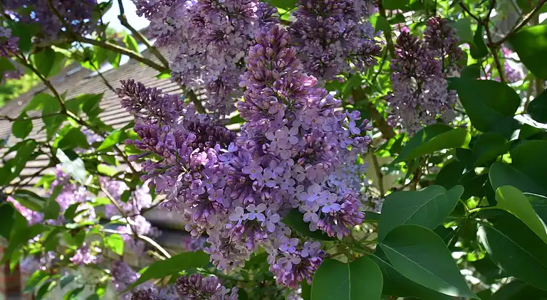 Holiday home in Combreux