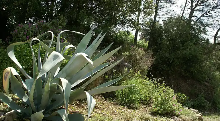 Vakantiehuis in Flayosc