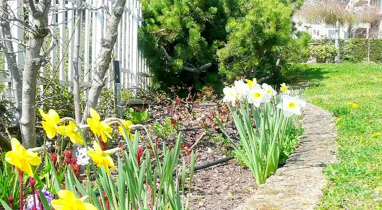 Semesterbostad i Tuenno