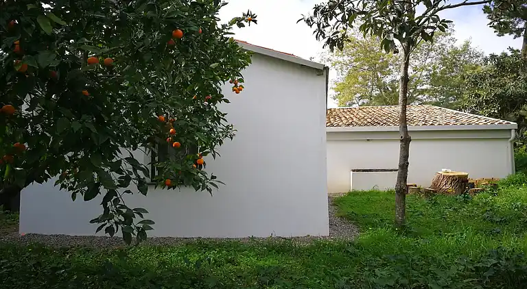 Holiday home in Maida