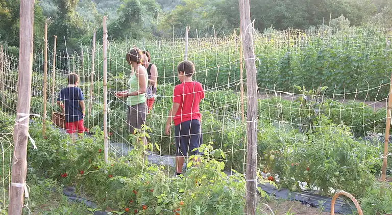 Holiday home in Maida