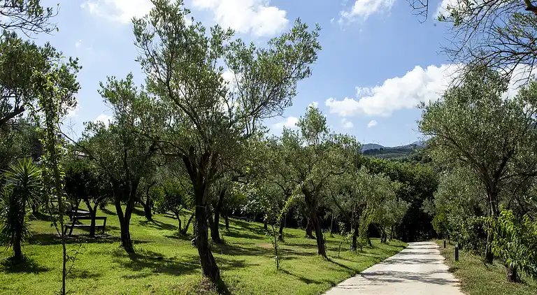 Holiday home in Maida