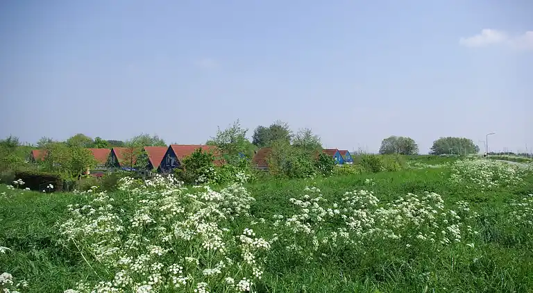 Sommerhus i Kamperland