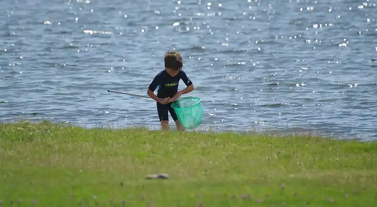 Sommerhus i Kamperland