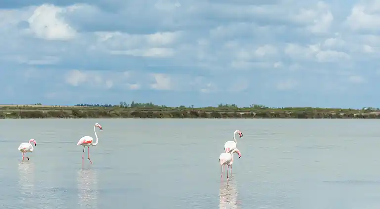 Villa in Bouillargues