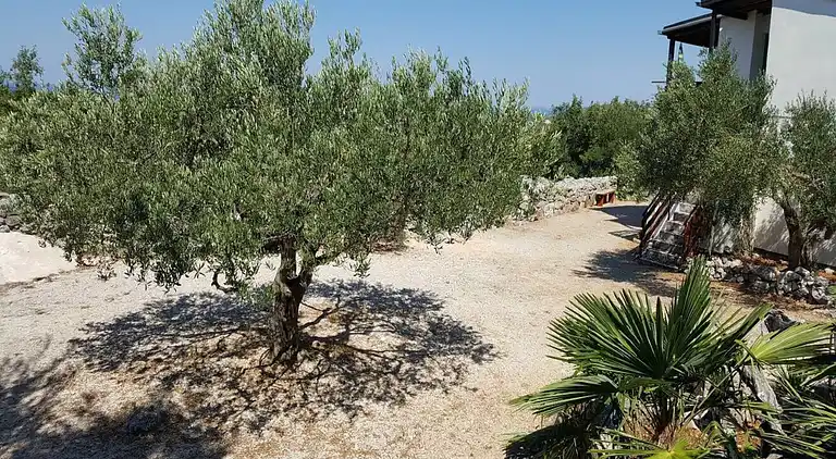 Ferielejlighed i Primošten