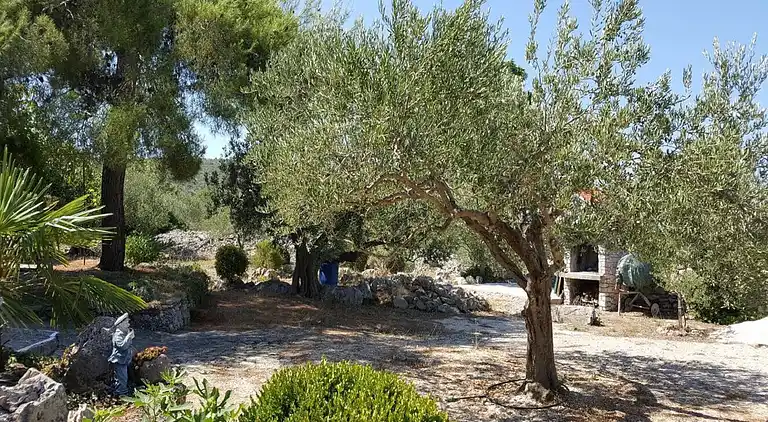 Ferielejlighed i Primošten