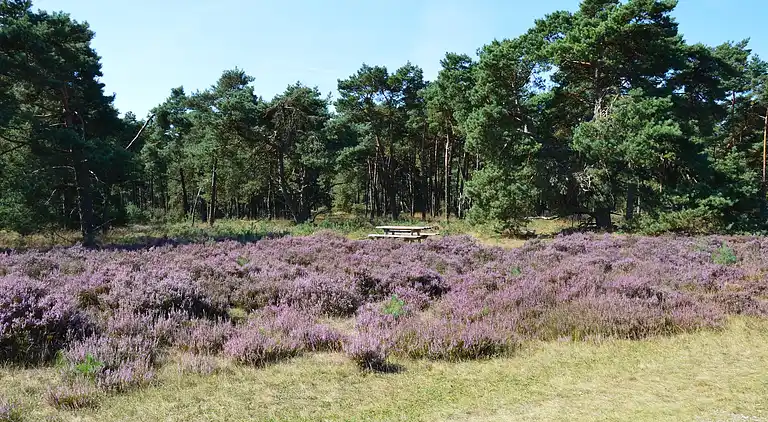 Sommerhus i Garderen