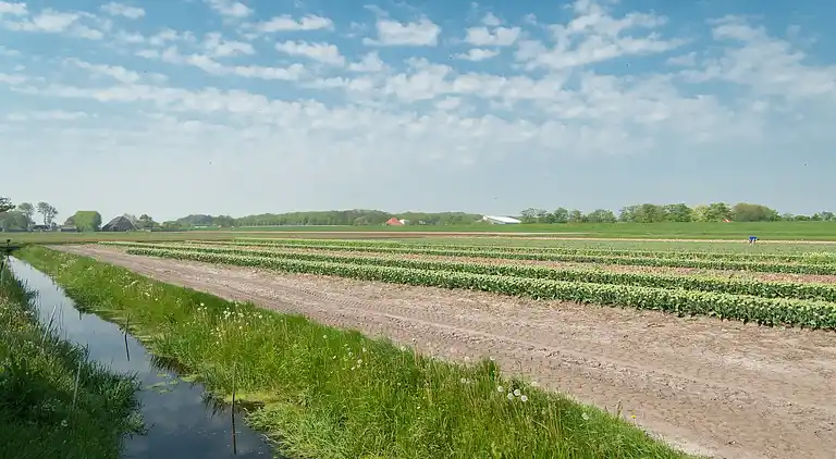 Sommerhus i Breezand