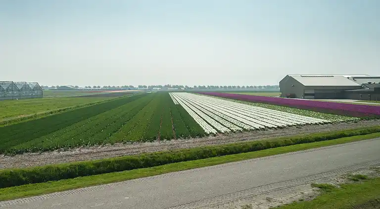 Sommerhus i Breezand