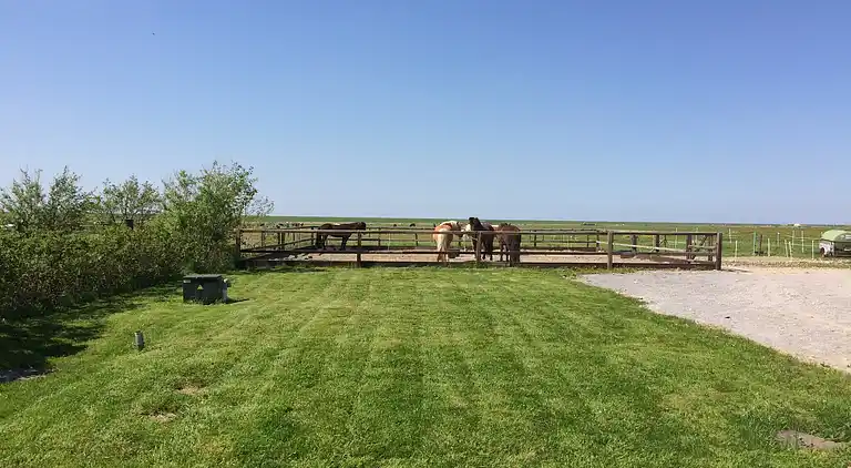 Apartment in Schoorl