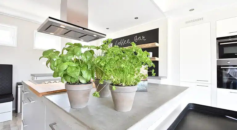 Sommerhus i Sint-Annaland