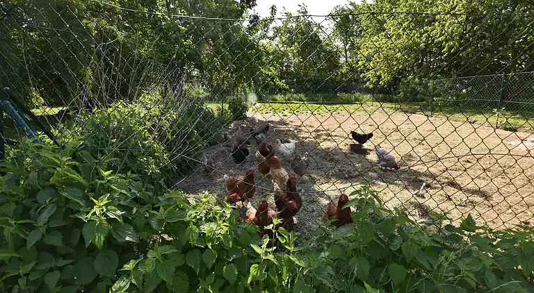 Holiday home in Kücknitz