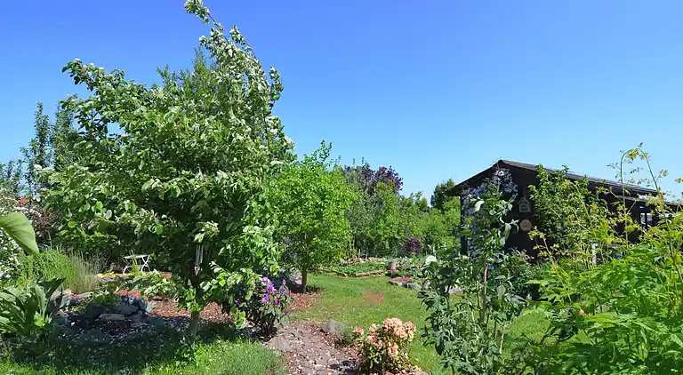 Apartment in Battenberg