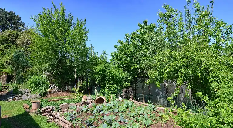 Apartment in Battenberg