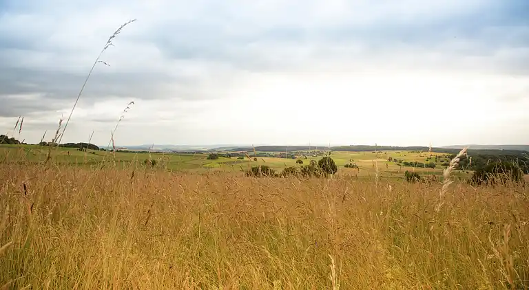Apartment in Battenberg