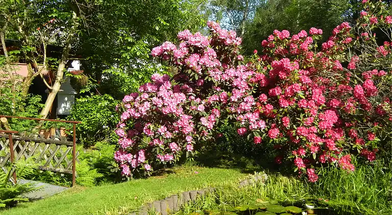Apartment in Schiltach
