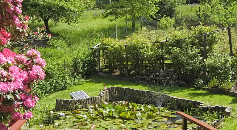 Apartment in Schiltach