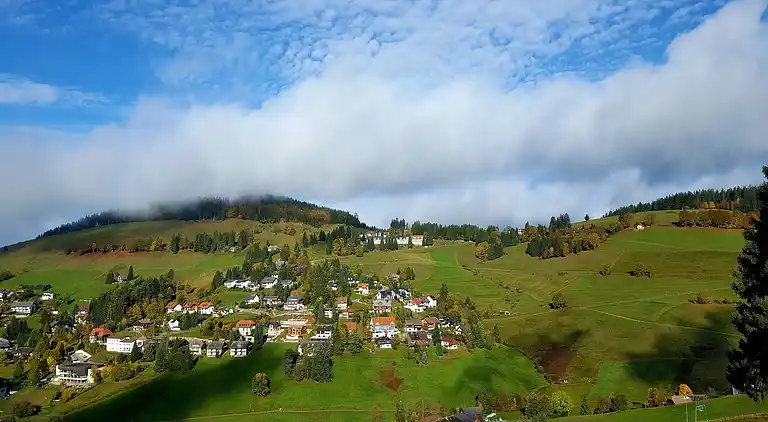 Apartment in Todtnauberg