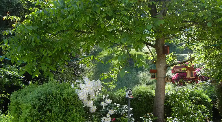 Apartment in Schiltach