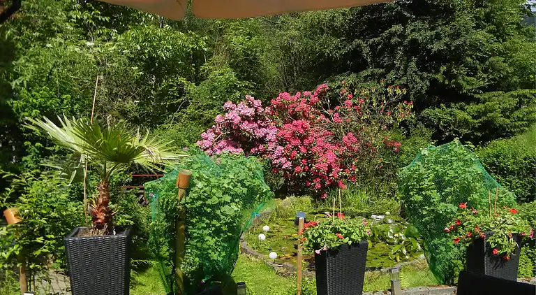 Apartment in Schiltach