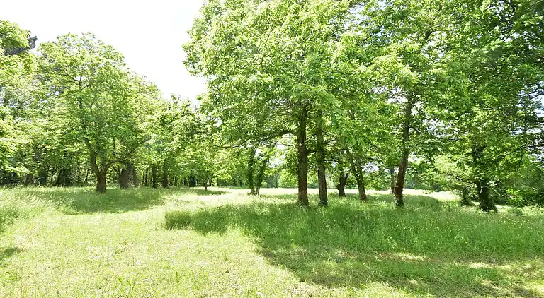 Holiday home in Loubejac