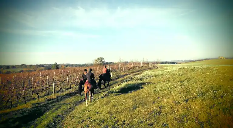 Villa en Montesquiou