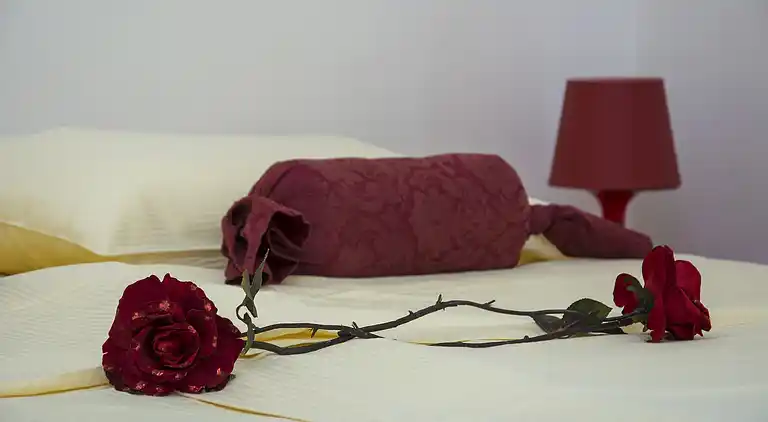 Ferielejlighed i Rošini