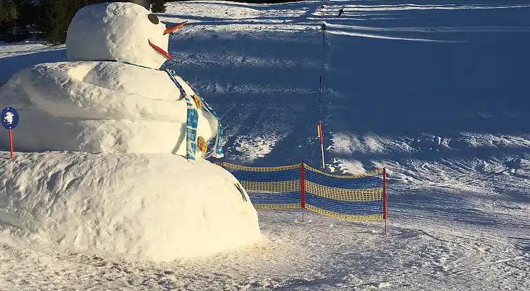 Appartement au Dienten am Hochkönig