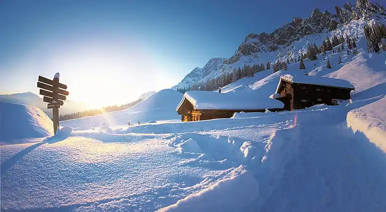 Appartement au Dienten am Hochkönig