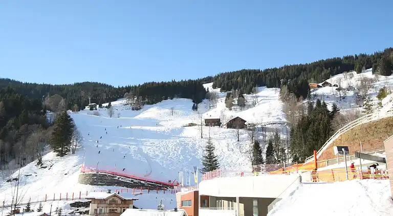 Appartement au Dienten am Hochkönig