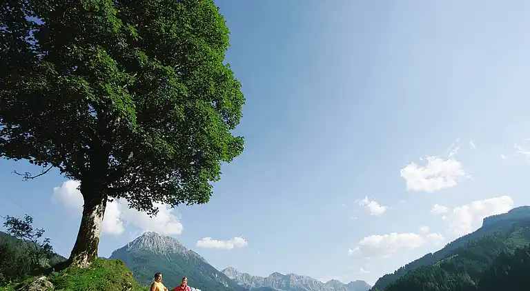 Ferienwohnung in Kleinarl