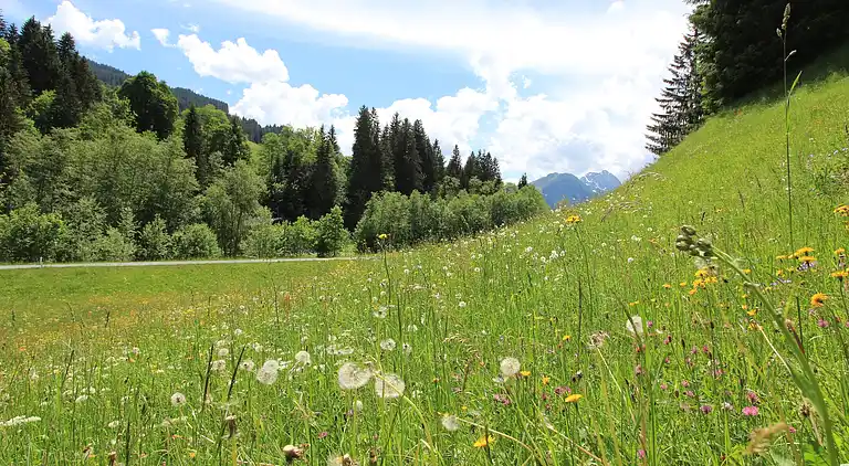 Appartamento in Kirchberg in Tirol