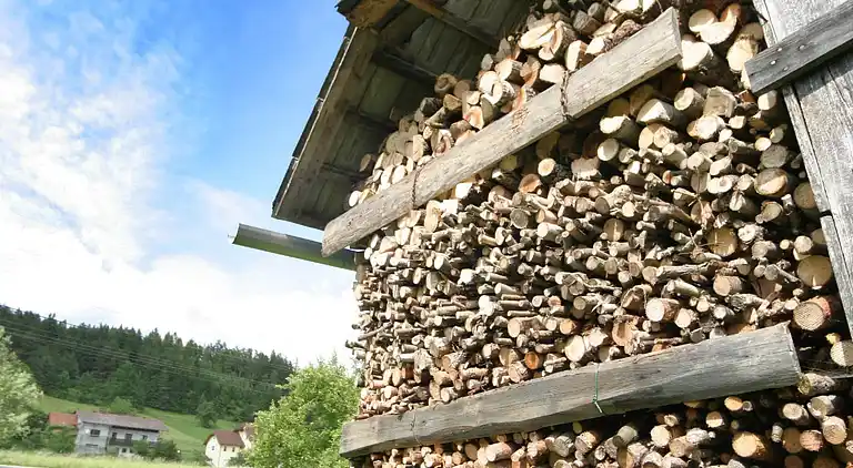 Holiday home in Gemeinde Ruden