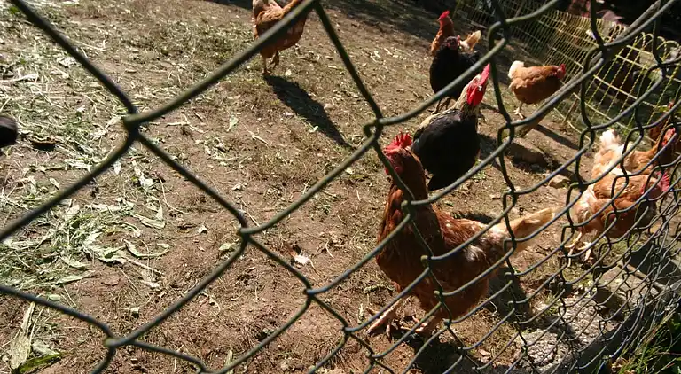 Holiday home in Gemeinde Ruden
